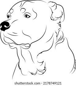 Rottweiler Head vector illustration art