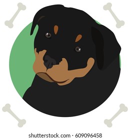 Rottweiler, icon, logo, symbol, dog.