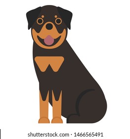 rottweiler illustration on white background