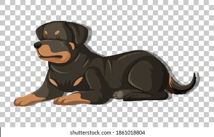 Rottweiler in laying position cartoon character isolated on transparent background illustration