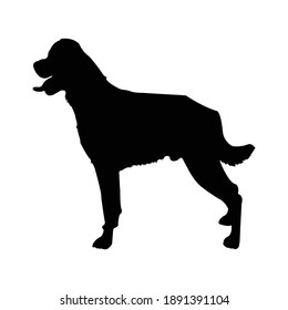 Rottweiler Metzgerhund Silhouette Vector Illustration