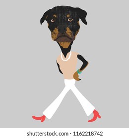 Rottweiler with style.