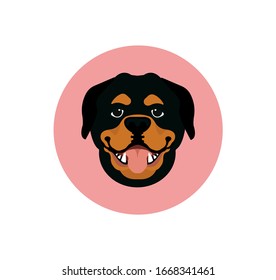 Rottweiler vector dog icon isolated