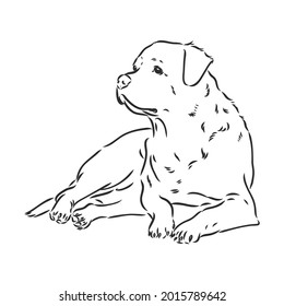 Ilustración monocromática de dibujo de mano vectorial de rotulador aislada en fondo blanco