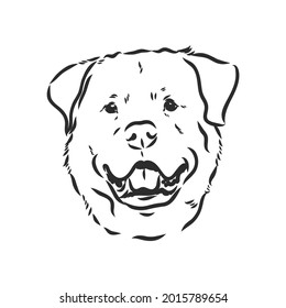 Ilustración monocromática de dibujo de mano vectorial de rotulador aislada en fondo blanco
