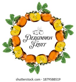 Rouded hand drawn persimmon fruit vector illustration. Kaki Fruit with green leaves and branch.