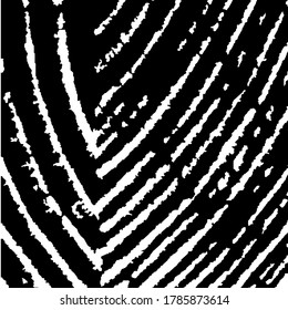 Rough Arcuate Stripes. Vector Texture. Grunge Background with Black and White Stripes. Rough Black and White Background. Nature Striped Background for your Design. Monochrome Grunge Pattern.