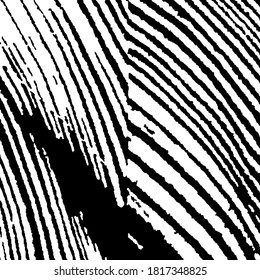 Rough Arcuate Stripes. Vector Texture. Rough Black and White Background. Monochrome Grunge Pattern. Nature Striped Background for your Design. Grunge Background with Black and White Stripes.