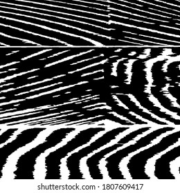 Hübscher schwarz-weißer Hintergrund. Reiche Arcuate Streifen. Vektorgrafik. Naturgestreifter Hintergrund für Ihr Design. brüchiger Hintergrund mit Schwarz-Weiß-Streifen. Monochrome Grunge-Muster.
