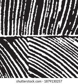 Rough Black and White Background. Rough Arcuate Stripes. Vector Texture. Monochrome Grunge Pattern. Grunge Background with Black and White Stripes. Nature Striped Background for your Design.