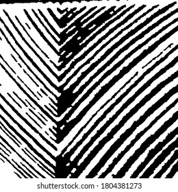 Rough Black and White Background. Grunge Background with Black and White Stripes. Monochrome Grunge Pattern. Rough Arcuate Stripes. Vector Texture. Nature Striped Background for your Design.