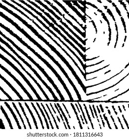 Rough Black and White Background. Grunge Background with Black and White Stripes. Rough Arcuate Stripes. Vector Texture. Monochrome Grunge Pattern. Nature Striped Background for your Design.