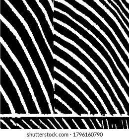 Fondo negro y blanco áspero. Patrón ondulado monocromo. Tiras Arcuadas Rosas. Textura vectorial. Borde fondo con franjas en blanco y negro. Fondo rayado de la naturaleza para su diseño.