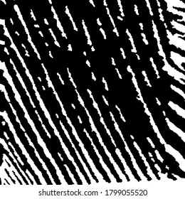 Fondo negro y blanco áspero. Fondo rayado de la naturaleza para su diseño. Tiras Arcuadas Rosas. Textura vectorial. Patrón ondulado monocromo. Borde fondo con franjas en blanco y negro.