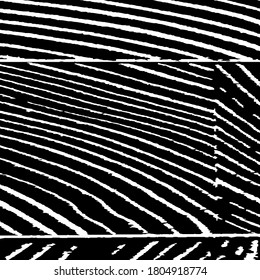 Rough Black and White Background. Nature Striped Background for your Design. Monochrome Grunge Pattern. Rough Arcuate Stripes. Vector Texture. Grunge Background with Black and White Stripes.