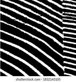 Fondo negro y blanco áspero. Fondo rayado de la naturaleza para su diseño. Borde fondo con franjas en blanco y negro. Patrón ondulado monocromo. Tiras Arcuadas Rosas. Textura vectorial.