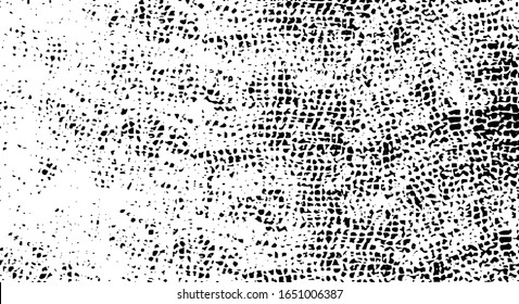 Rough black and white texture vector. Distressed overlay texture. Grunge background. Abstract textured effect. Vector Illustration. Black isolated on white background. EPS10.