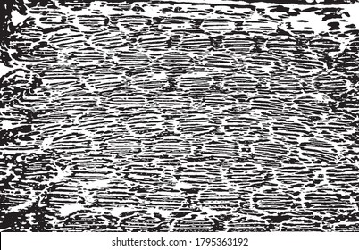 Rough black and white texture vector. Distressed overlay texture. Grunge background. Abstract textured effect. Vector Illustration. Black isolated on white background. EPS10.