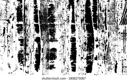 Rough black and white texture vector. Distressed overlay texture. Grunge background. Abstract textured effect. Vector Illustration. Black isolated on white background. EPS10.