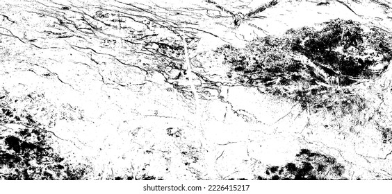 Rough black and white texture vector. Distressed overlay texture. Grunge background. Abstract textured effect. Vector Illustration. Black isolated on white background. EPS10.