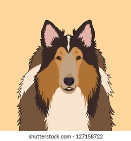 Rough Collie, The buddy dog