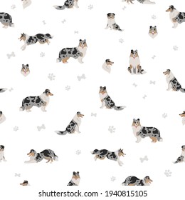 Rough collie clipart. Different poses, coat colors seamless pattern.  Vector illustration