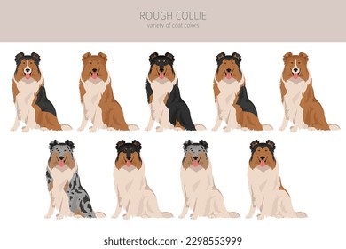 Rough collie clipart. Different poses, coat colors set.  Vector illustration