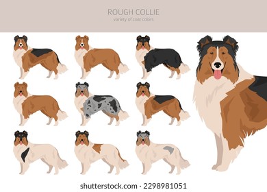 Rough collie clipart. Different poses, coat colors set.  Vector illustration