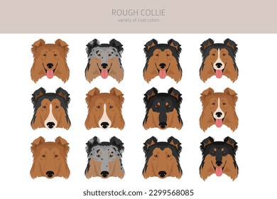 Rough collie clipart. Different poses, coat colors set.  Vector illustration