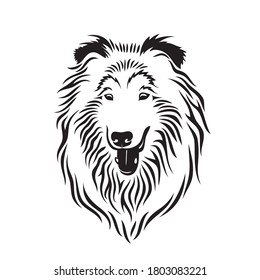 Rough Collie dog isolated vector illustration