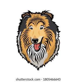 Rough Collie dog isolated vector illustration