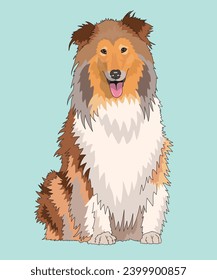 Rough Collie Dog Long-Haired Collies Sitting Front View