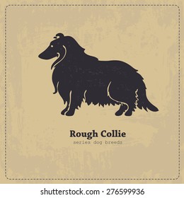 Rough Collie dog standing in profile stylized silhouette on shabby vintage background. All objects are conveniently grouped on different layers.