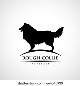 Rough Collie dog - vector illustration