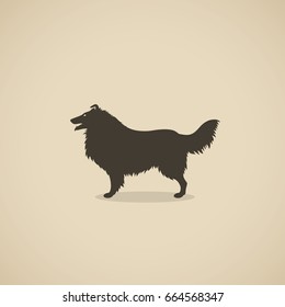 Rough Collie dog - vector illustration