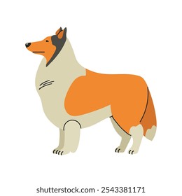 Rough collie icon clipart avatar logotype isolated illustration