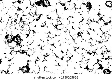 Estructura de frijoles duros y oscuros, textura vectorial en blanco y negro