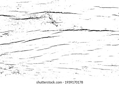 Rough and dark wooden structure, black and white vector texture. Wooden board texture vector on transparent background. Old tree trunk ornament. Cracked wooden bark textured overlay for vintage effect
