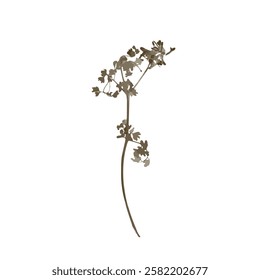 Rough edges brown dried floral sinlouette. Boho minimalist wild flower stamp. Botanical rustic element isolated on white background.