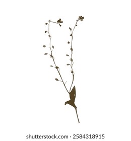 Rough edges brown dried floral silhouette. Boho minimalist wild flower stamp. Botanical rustic element isolated on white background.