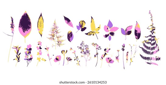 Rough edges dried floral funky purple and yellow silhouettes set. Boho minimalist wild herb stamps. Botanical rustic elements bundle isolated on white background.