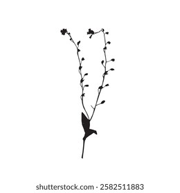 Rough edges dried floral silhouette. Boho minimalist wild flower stamp. Black botanical rustic element isolated on white background.