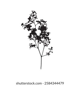 Rough edges dried floral silhouette. Boho minimalist wild flower stamp. Black botanical rustic element isolated on white background.