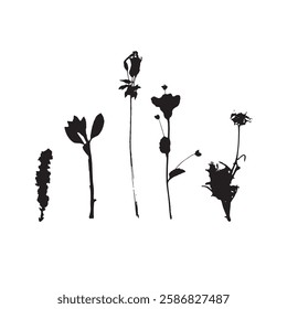 Rough edges dried floral silhouette set. Boho minimalist wild flower stamp. Black botanical rustic element isolated on white background.