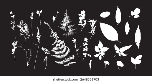 Rough edges dried floral white silhouettes set. Boho minimalist wild herb stamps. Black botanical rustic element isolated on black background.