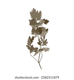 Rough edges dried leaf brown silhouette. Boho minimalist forest wild herb stamp. Botanical rustic element isolated on white background.