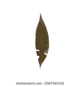 Rough edges dried leaf brown silhouette. Boho minimalist wild herb stamp. Botanical rustic element isolated on white background.