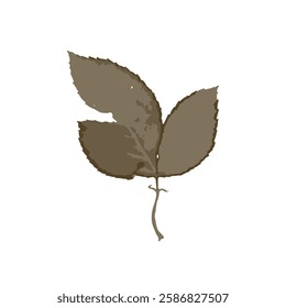 Rough edges dried rose leaf brown silhouette. Boho minimalist wild herb stamp. Botanical rustic element isolated on white background.