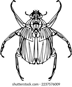 boceto dibujado a mano en blanco y negro vector de dragonfy aislado