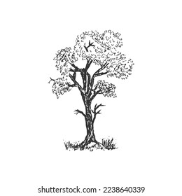 Concepto de diseño de ilustraciones de árbol vintage con trazos a mano para logotipo, afiche, banner y otro diseño. Ilustración vectorial de dibujo de árbol aislado arte.